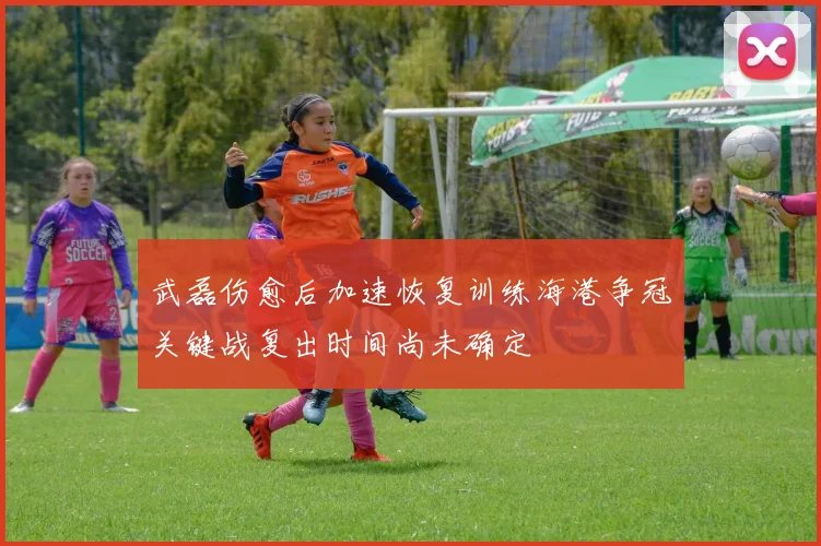 武磊伤愈后加速恢复训练海港争冠关键战复出时间尚未确定